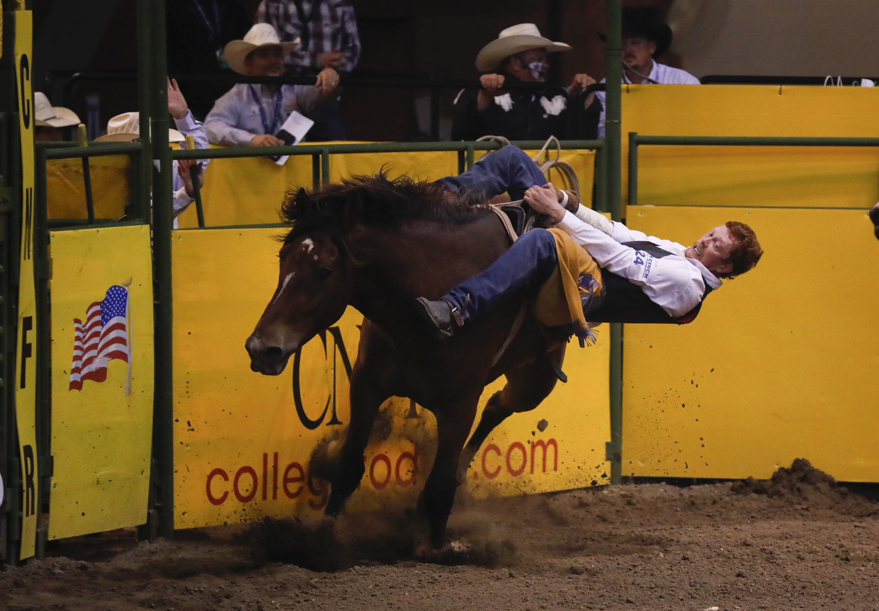 CNFR - Tuesday
